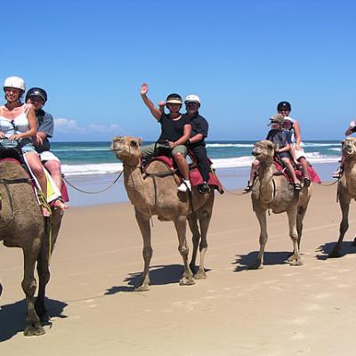 Camel Riding